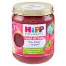Hipp Fruit Treasures 160g Apfel-Erdbeere-Himbeere