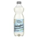 Silberquelle Holunder Gartenminze 500ml