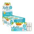 BG Kaugummi Xylit pfefferminze x12 17g