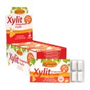 BG Kaugummi Xylit frucht x12 17g