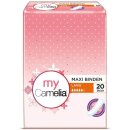 Assorbenti maxi lungo x20