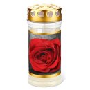 Memoriam oro rosa 4 giorni